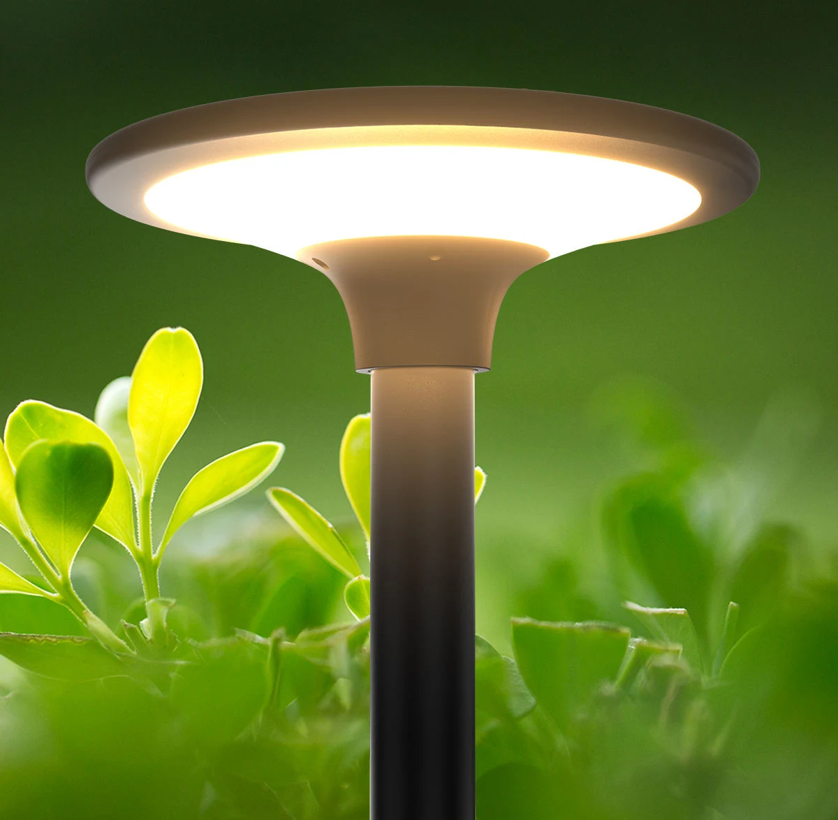 Latest Technology Trends in Solar LED Lighting Industry