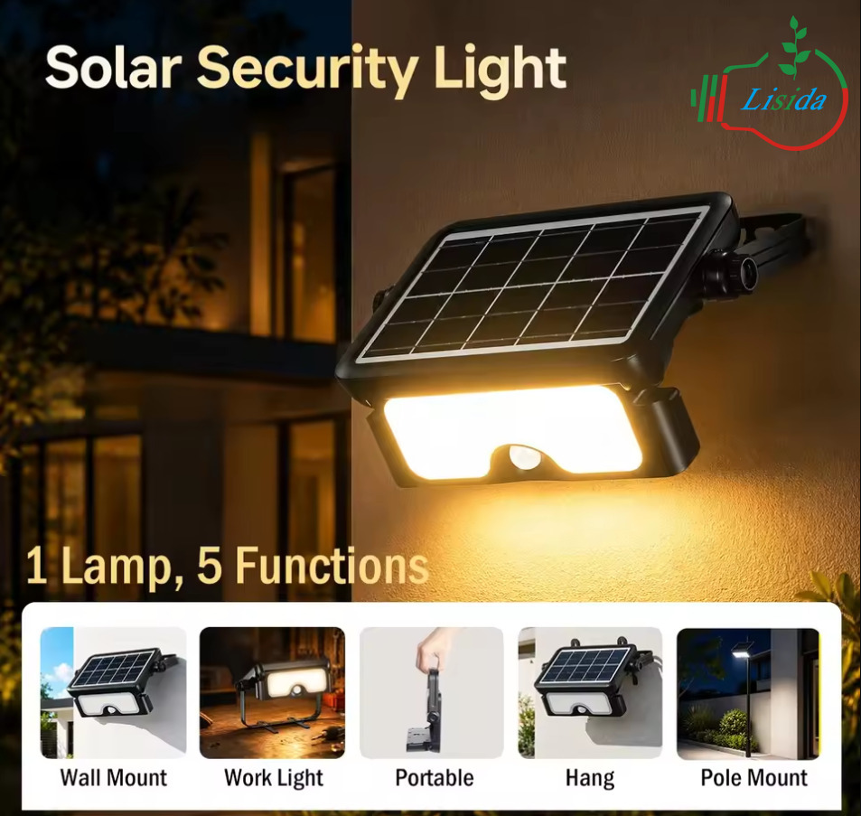 Solar Security Light