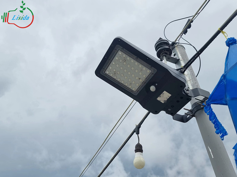 Philippine Rural Project solar street light Philippine Rural Project solar street light