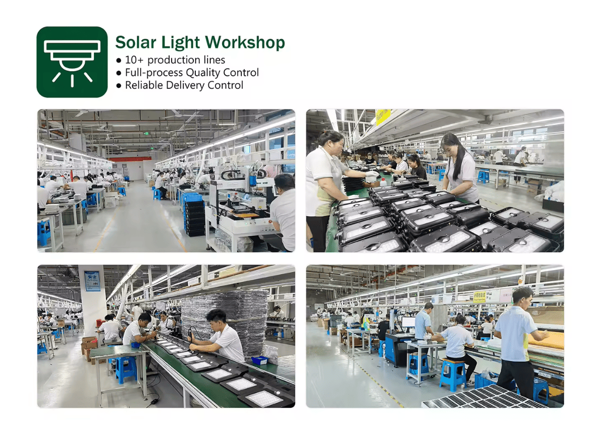 LEAD OPTO Solar Light Workshop
